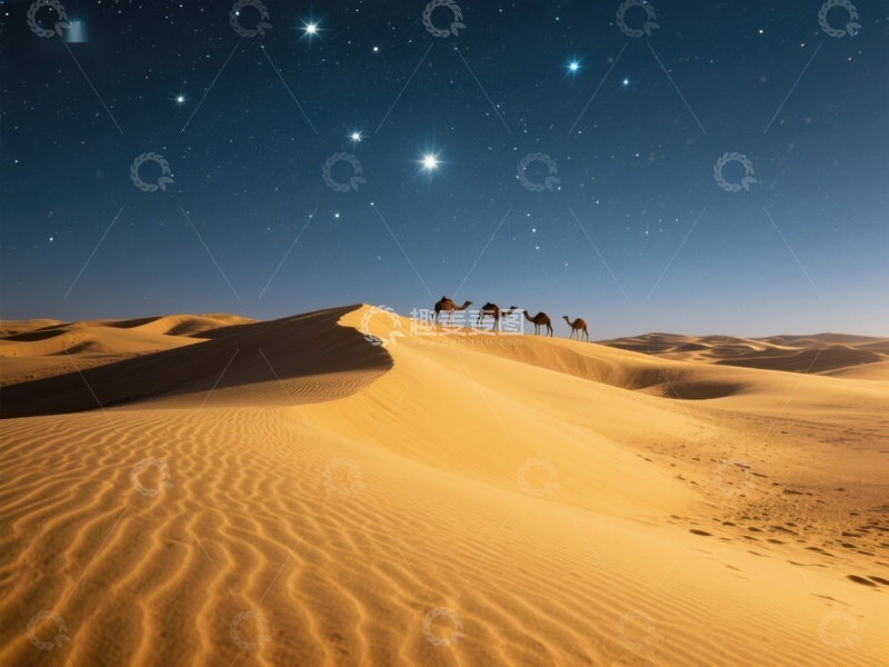 高清大图下载【趣麦麦图】星空下的沙漠骆驼