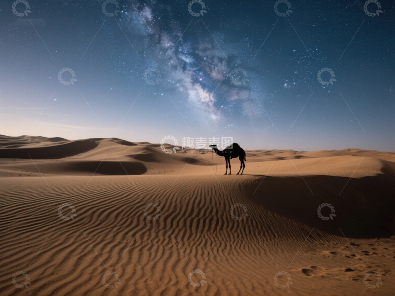 高清大图下载【趣麦麦图】沙漠夜景：骆驼与银河