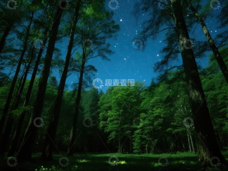 高清大图下载【趣麦麦图】夜空下的森林