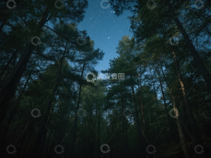 高清大图下载【趣麦麦图】夜空下的森林