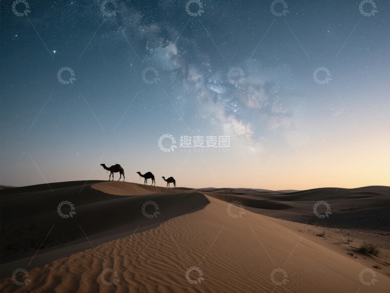 高清大图下载【趣麦麦图】沙漠夜景：骆驼行进在星空下