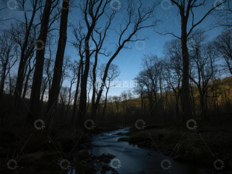 高清大图下载【趣麦麦图】夜幕下的森林溪流