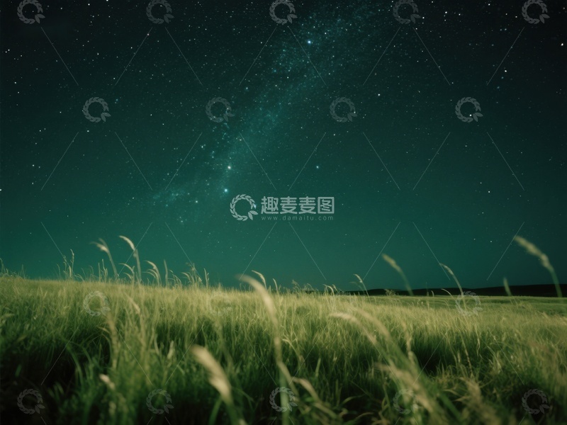 高清大图下载【趣麦麦图】星空下的草原夜景