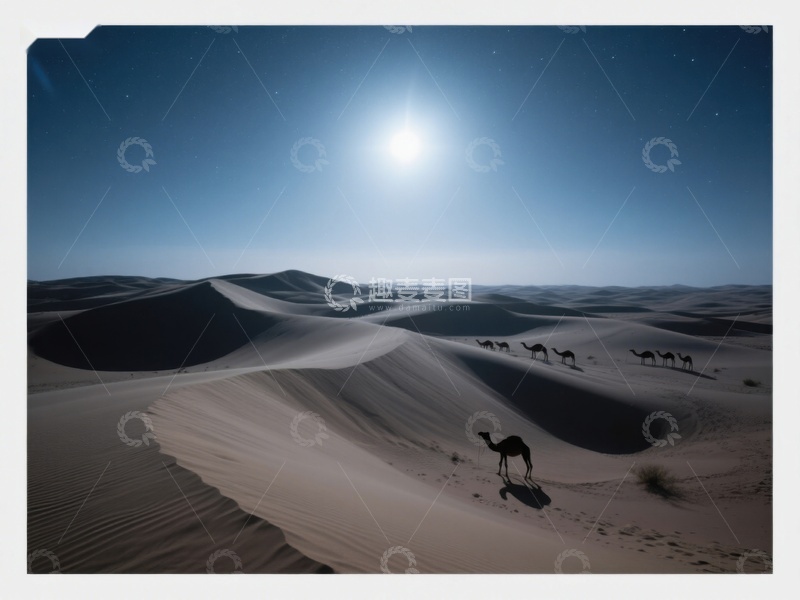 高清大图下载【趣麦麦图】月光下的沙漠驼队