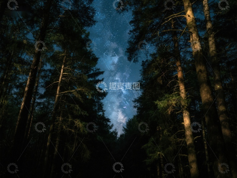 高清大图下载【趣麦麦图】夜空下的森林