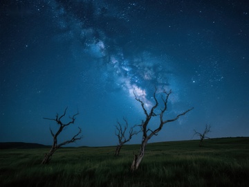 夜空下的枯树与银河