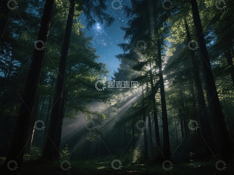夜幕森林，星光与光束交织