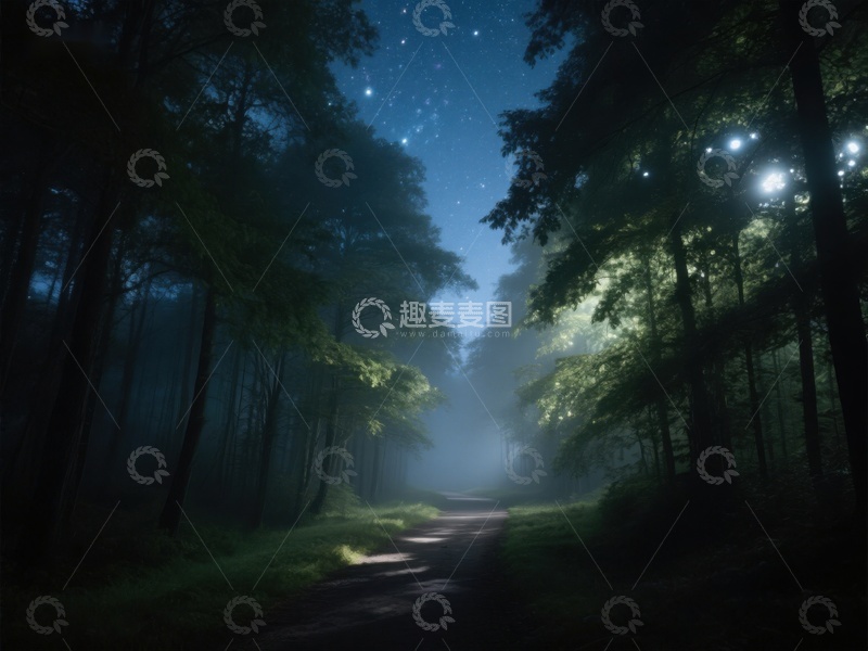 高清大图下载【趣麦麦图】夜幕森林小径，星光点点