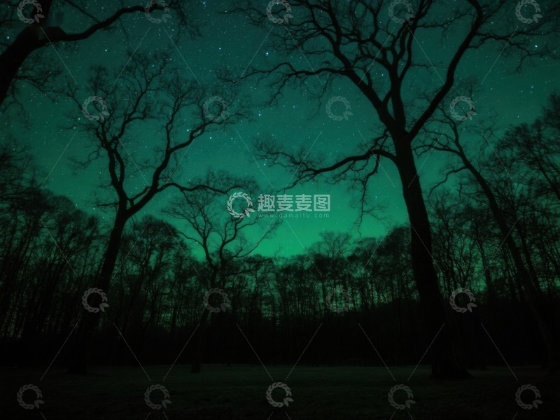 高清大图下载【趣麦麦图】夜空下的幽绿森林