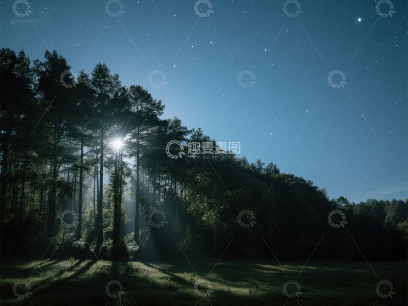 高清大图下载【趣麦麦图】月光穿透树林，洒在静谧草地上