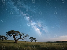 星空下的孤树与草原