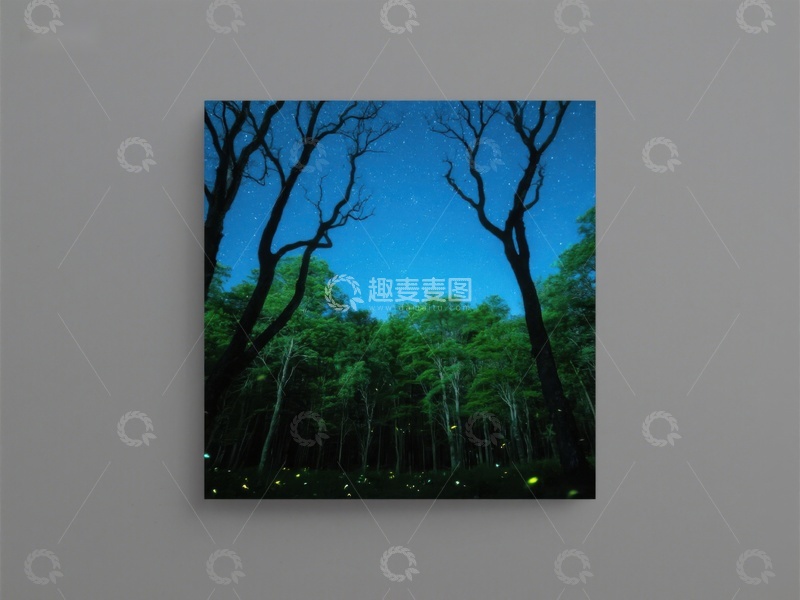 高清大图下载【趣麦麦图】夜幕森林，萤火虫闪烁