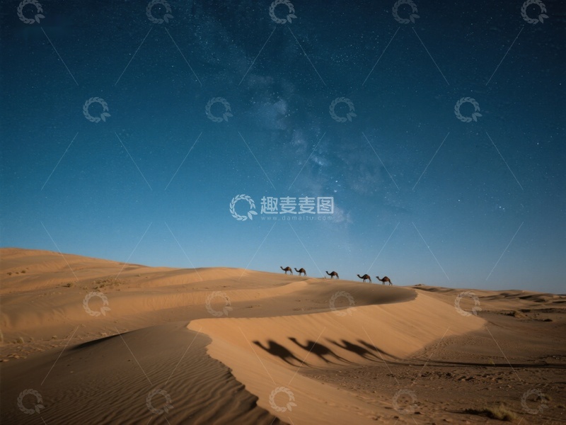 高清大图下载【趣麦麦图】夜空下的沙漠驼队