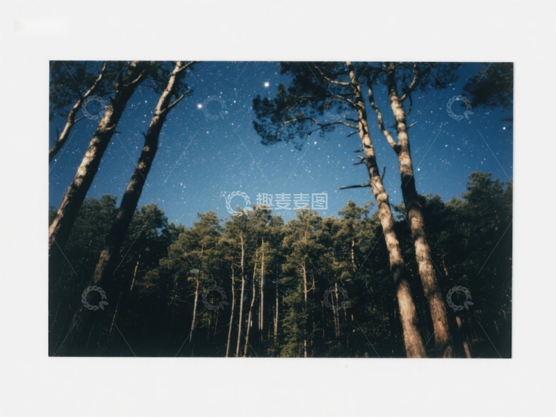 高清大图下载【趣麦麦图】夜空下的森林