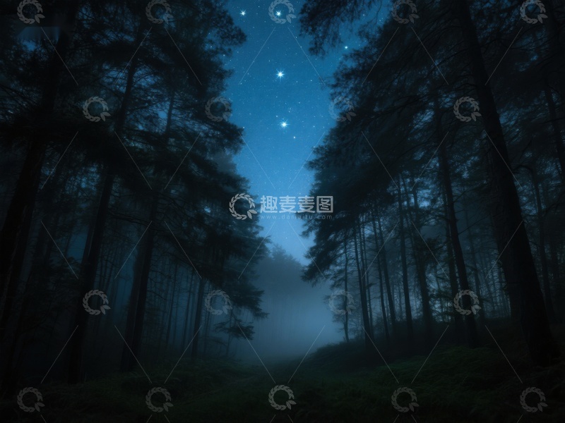 高清大图下载【趣麦麦图】夜幕森林，星光点点
