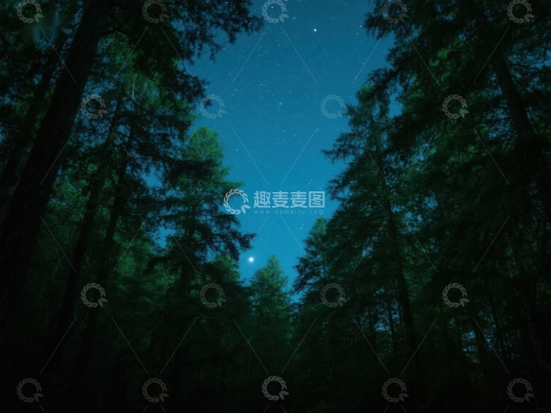 高清大图下载【趣麦麦图】夜空下的森林