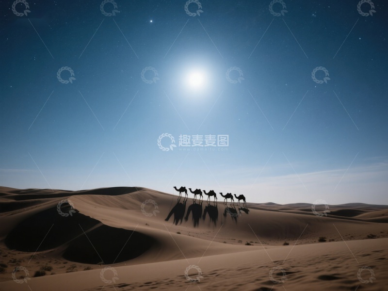 高清大图下载【趣麦麦图】月光下的沙漠驼队剪影