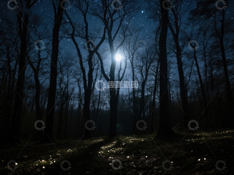 高清大图下载【趣麦麦图】月光下的幽静森林