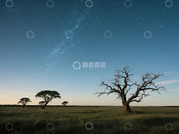 星空下的孤树与草原