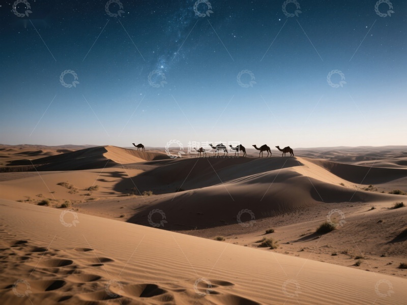 高清大图下载【趣麦麦图】夜空下的沙漠驼队