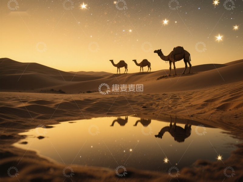 高清大图下载【趣麦麦图】沙漠夜景：骆驼与星空倒影