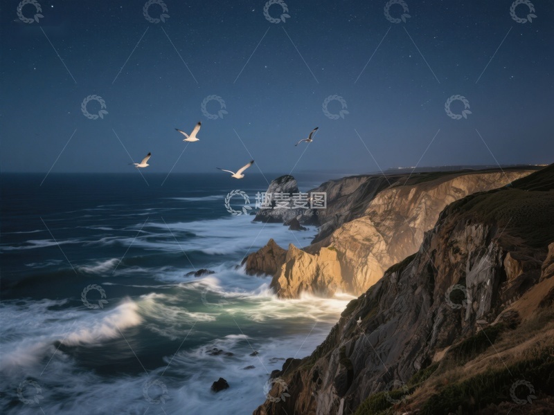 高清大图下载【趣麦麦图】夜幕下的海岸悬崖与飞翔海鸥