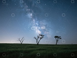 夜空下的孤树与银河