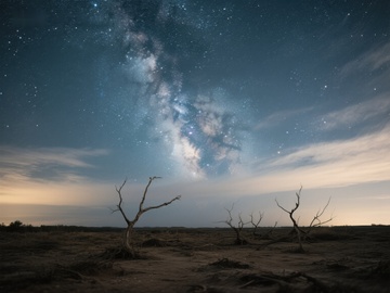 夜空下的枯树与银河