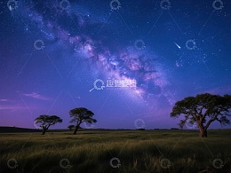 星空下的草原与孤树
