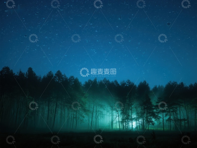 高清大图下载【趣麦麦图】夜幕森林，星光点点