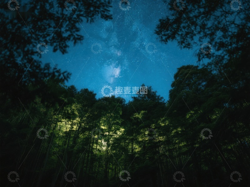 高清大图下载【趣麦麦图】夜空下的森林