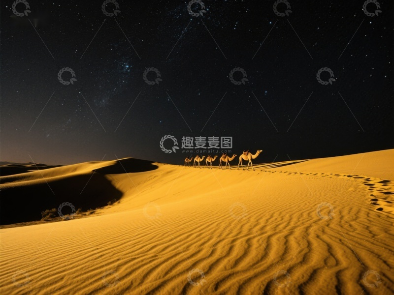 高清大图下载【趣麦麦图】夜空下的沙漠驼队