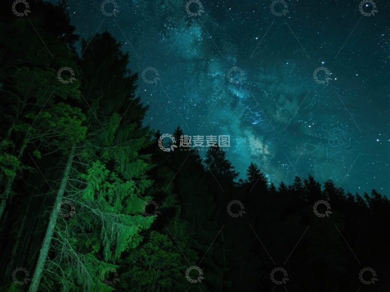 高清大图下载【趣麦麦图】夜空下的森林与银河