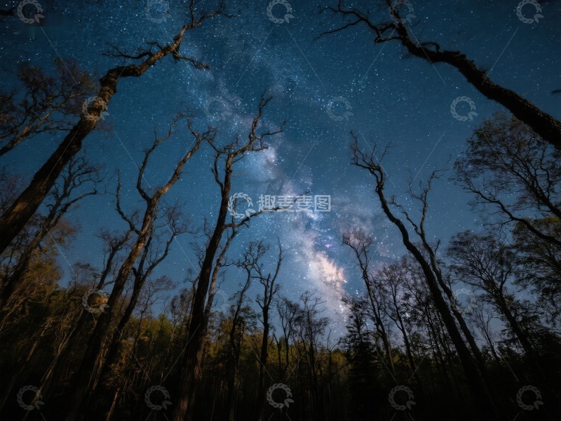 高清大图下载【趣麦麦图】森林夜空下的银河美景