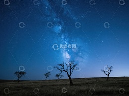 夜空下的孤树与银河