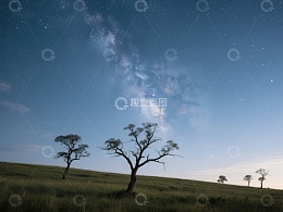 星空下的孤树与草原
