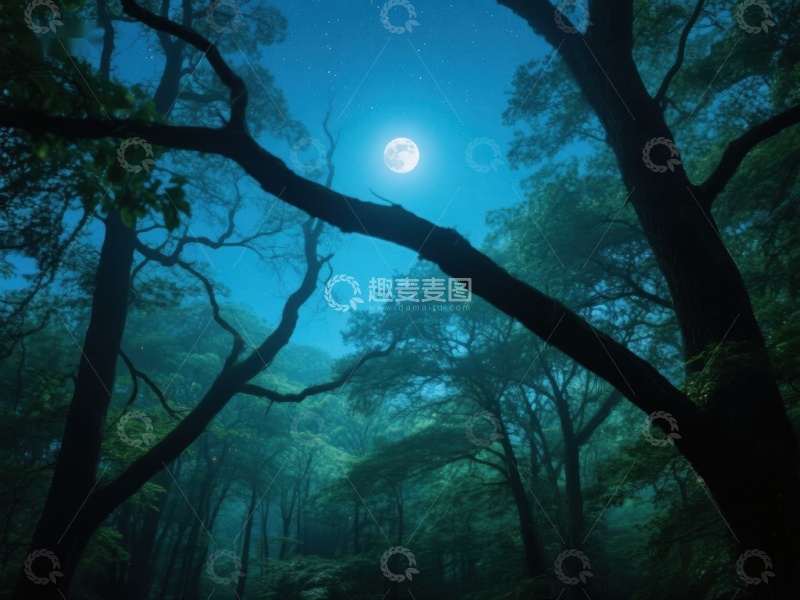 高清大图下载【趣麦麦图】月光下的幽静森林
