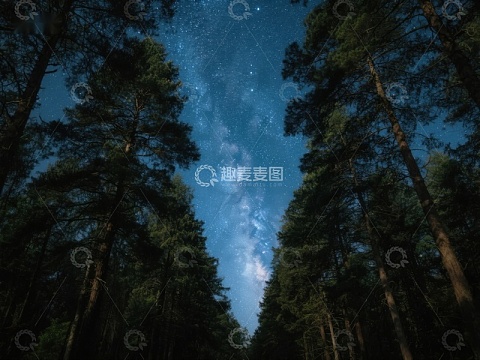 森林夜空下的银河