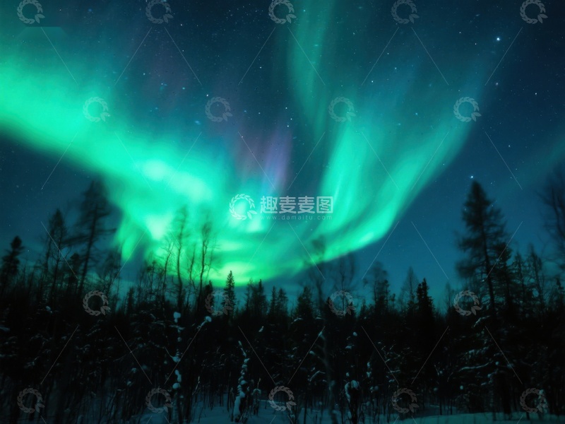 高清大图下载【趣麦麦图】极光下的森林夜景