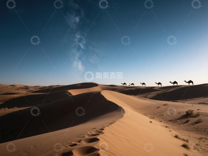 高清大图下载【趣麦麦图】沙漠夜景：骆驼队行进在沙丘间