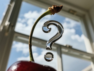 樱桃枝上的金属问号