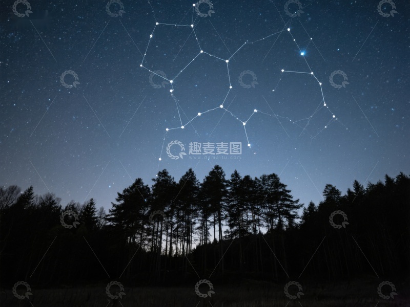 高清大图下载【趣麦麦图】夜空下的森林与星座