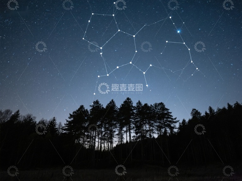 夜空下的森林与星座