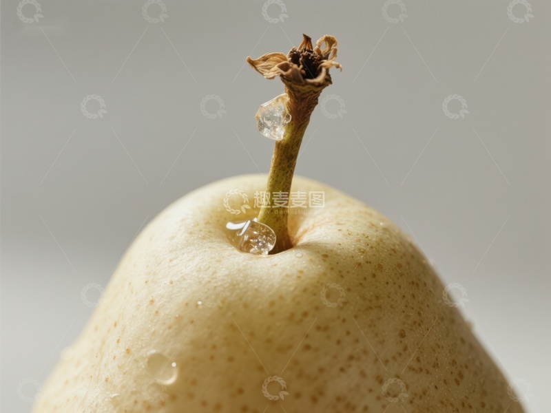 高清大图下载【趣麦麦图】梨子顶部的花蕊与水滴