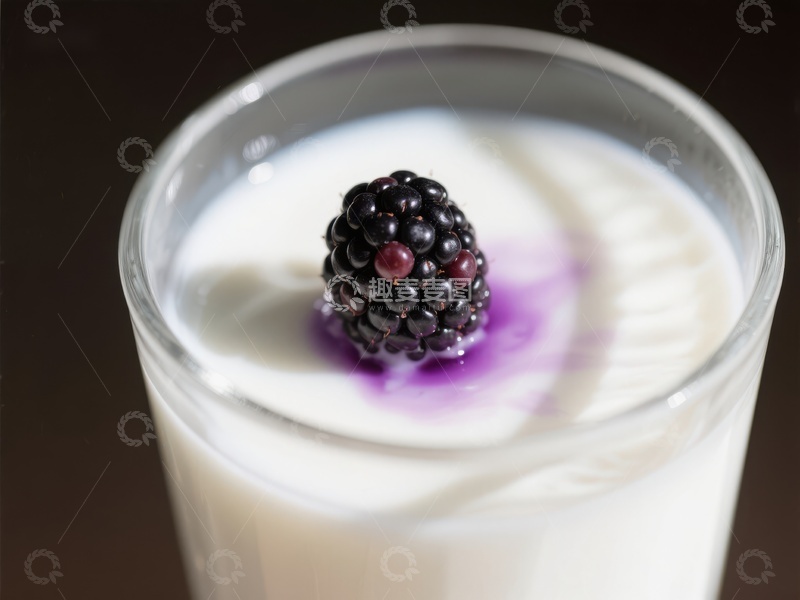 高清大图下载【趣麦麦图】黑莓点缀的酸奶特写