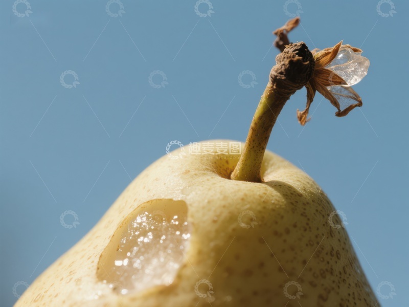 高清大图下载【趣麦麦图】梨子表面的糖霜与枯萎花瓣