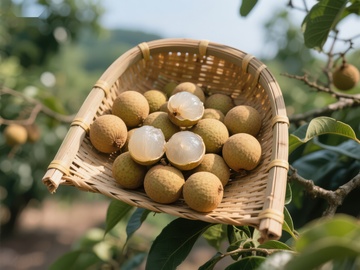 新鲜龙眼装满竹篮