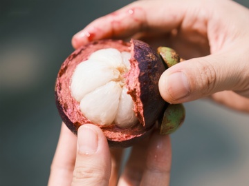 手握新鲜切开的山竹果