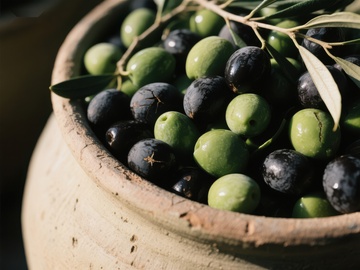 新鲜橄榄盛于陶罐中
