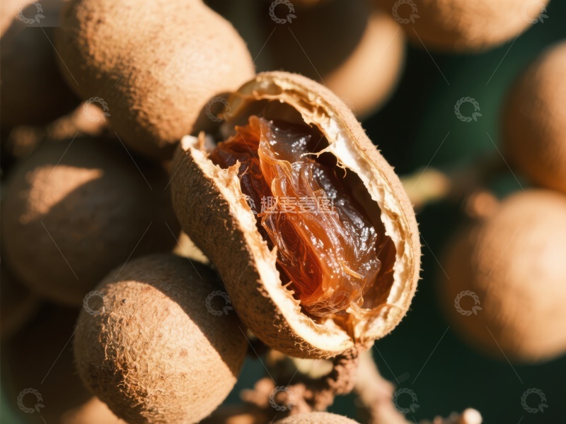 高清大图下载【趣麦麦图】新鲜龙眼果肉特写